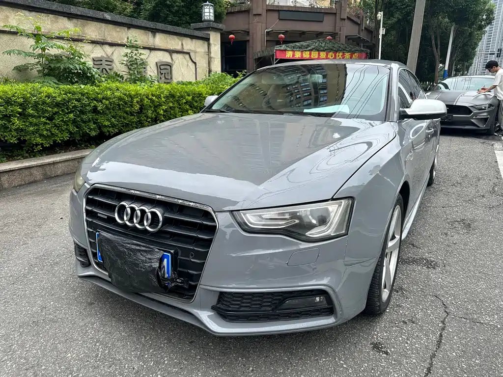 Audi A5 (Import) 2013