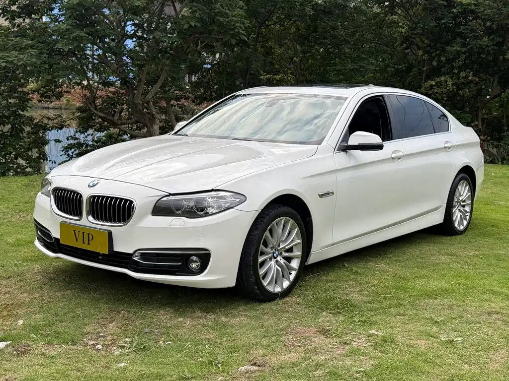 BMW 5 Series 2014