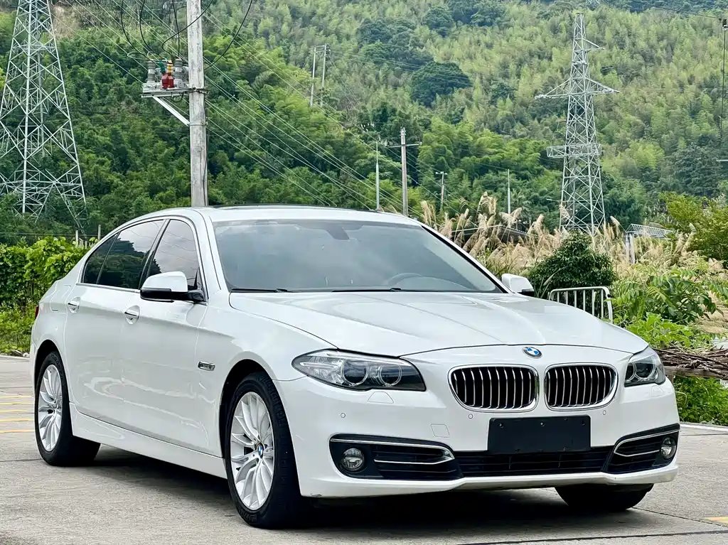 BMW 5 Series 2014