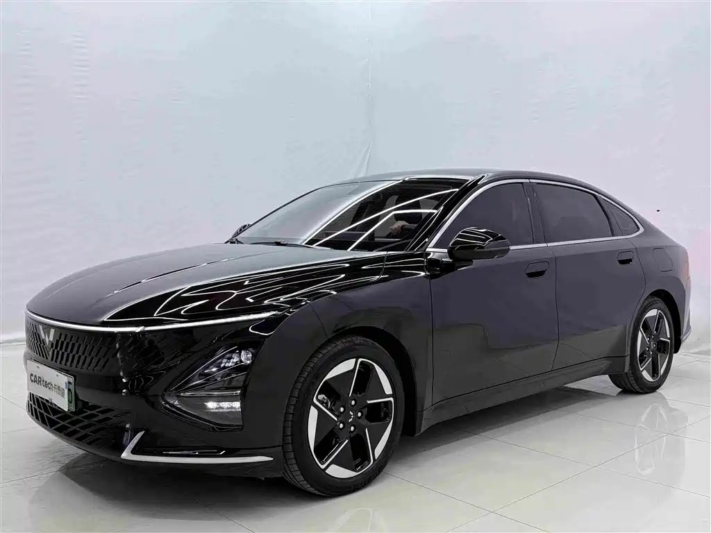 Wuling Xingguang 2024