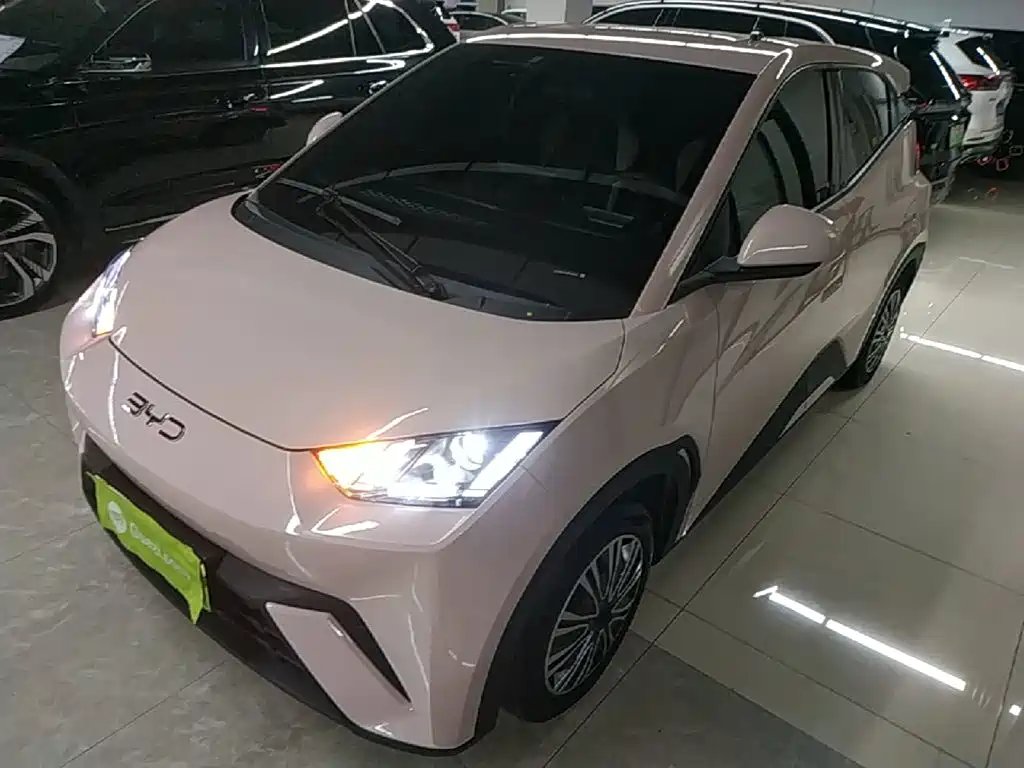 BYD Seagull 2024