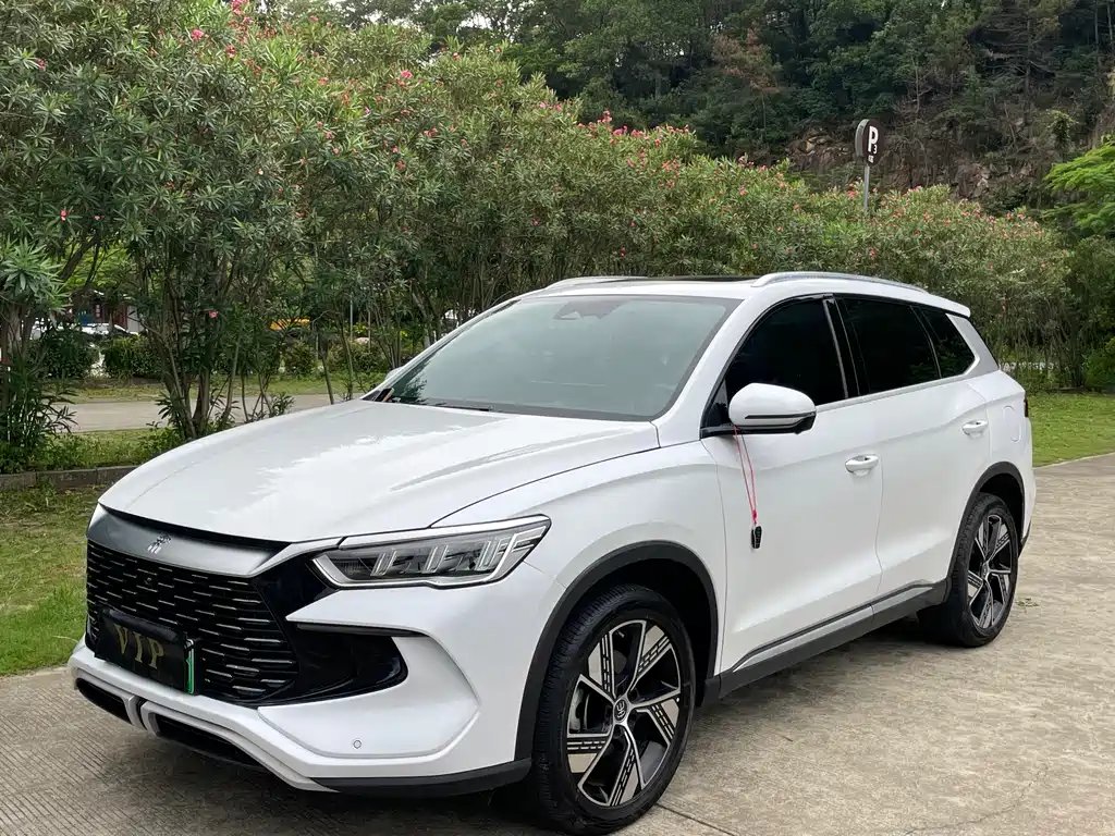 BYD Pro New Energy 2024