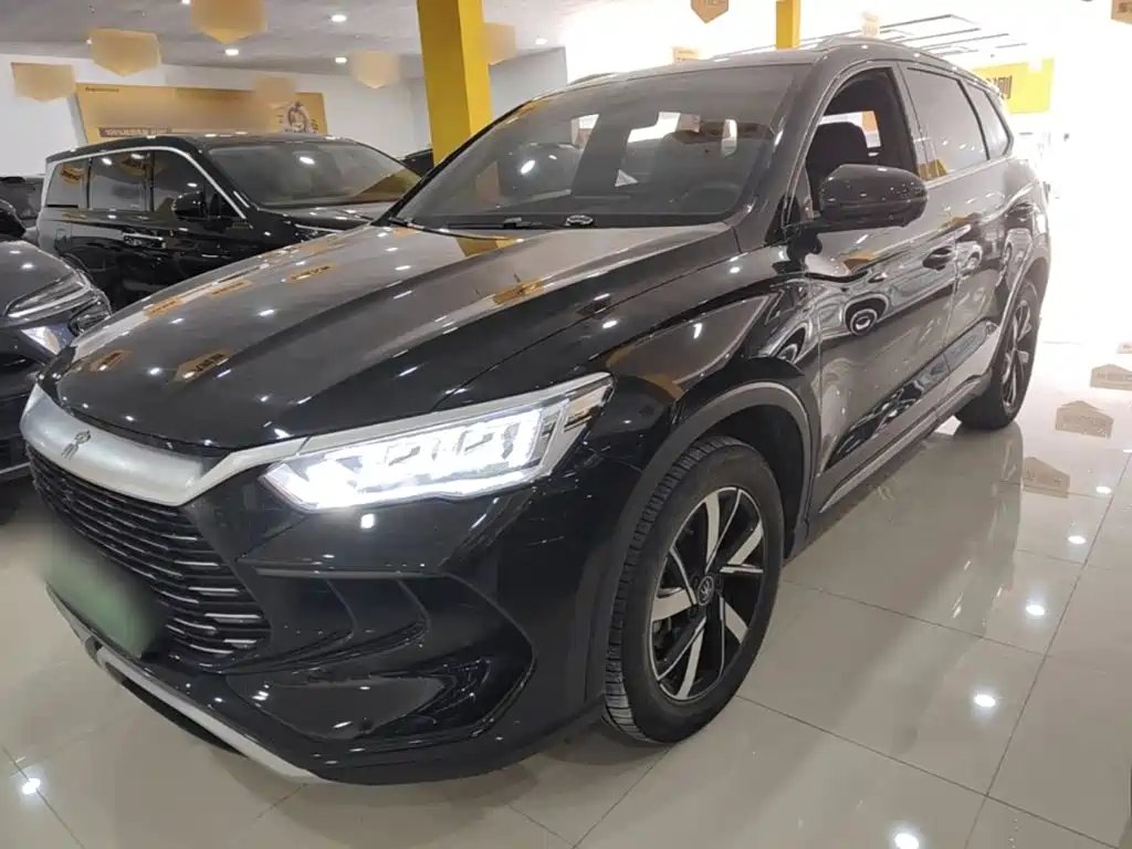 BYD Pro New Energy 2024