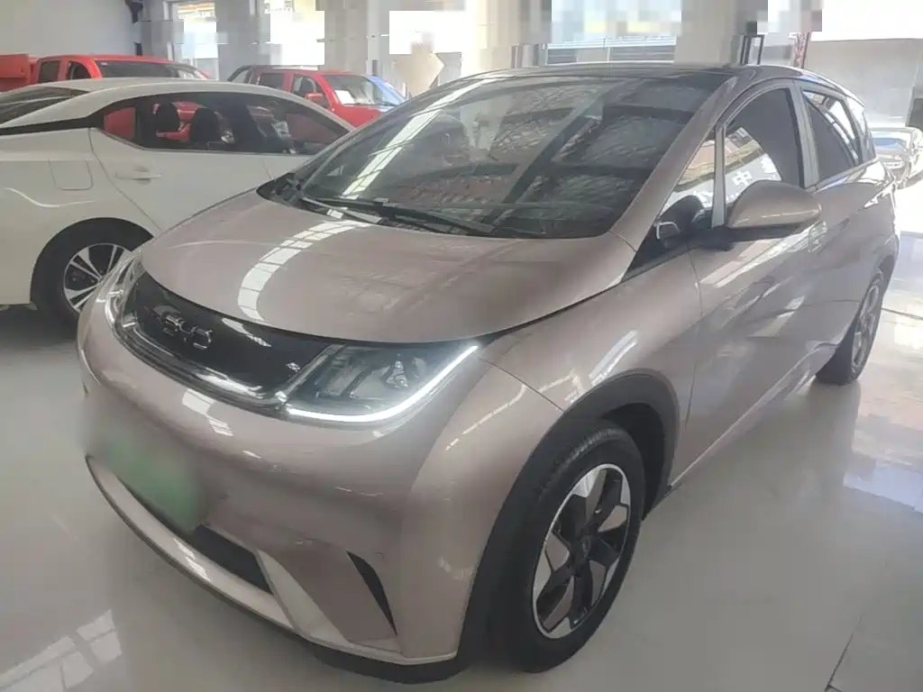 BYD Dolphin 2024