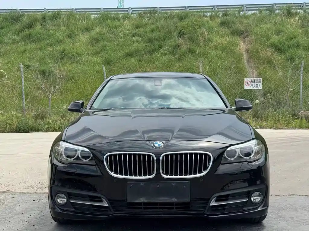 BMW 5 Series 2015