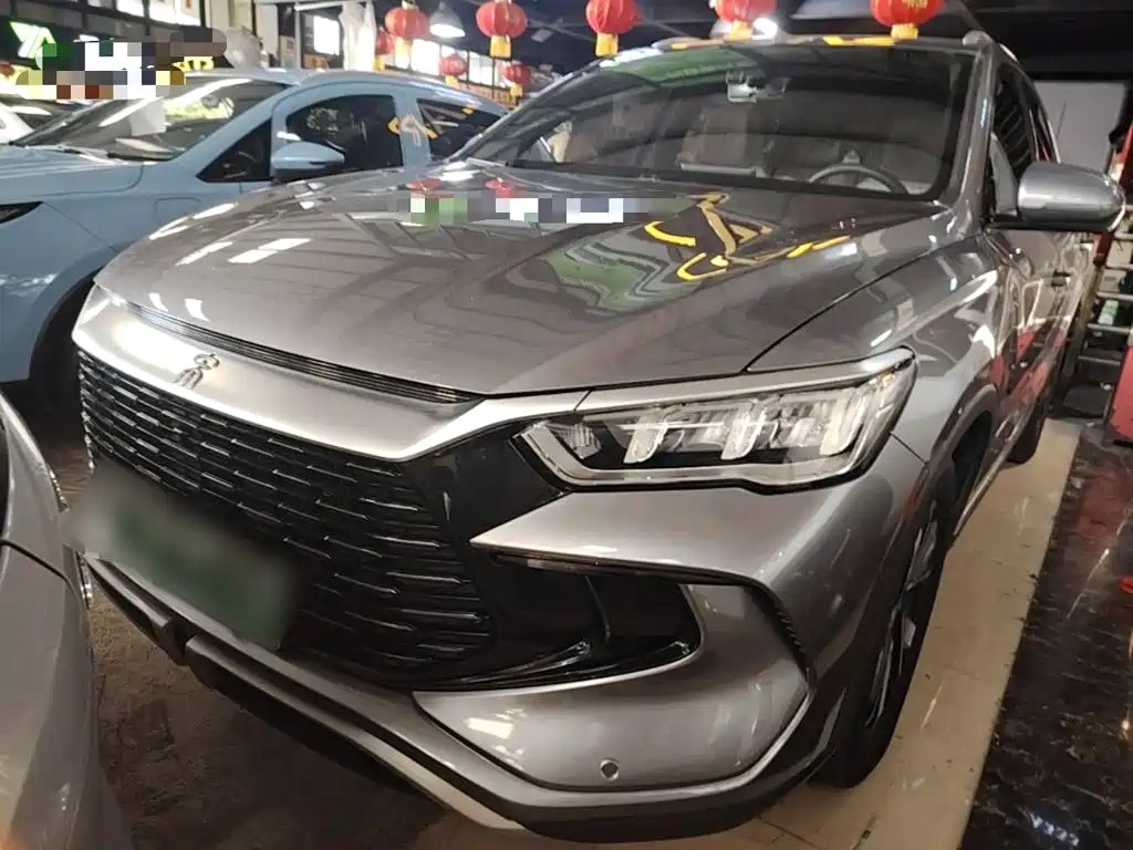 BYD Pro New Energy 2024