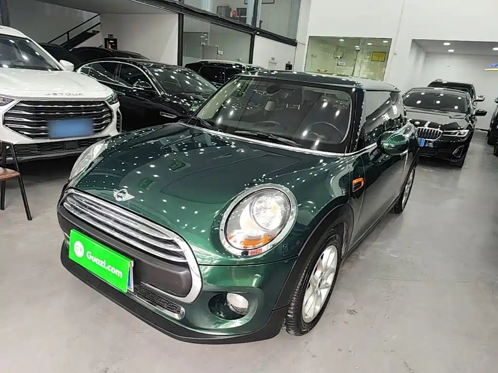 Mini Mini 2016