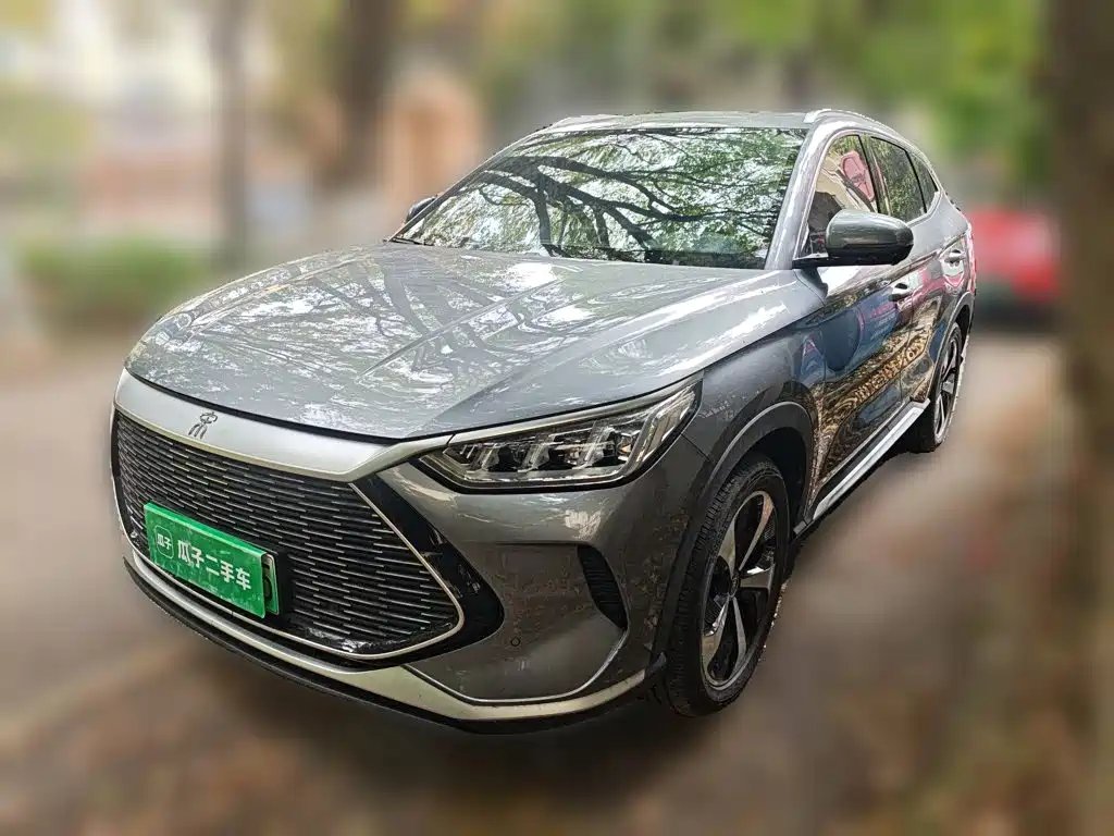 BYD PLUS New Energy 2022
