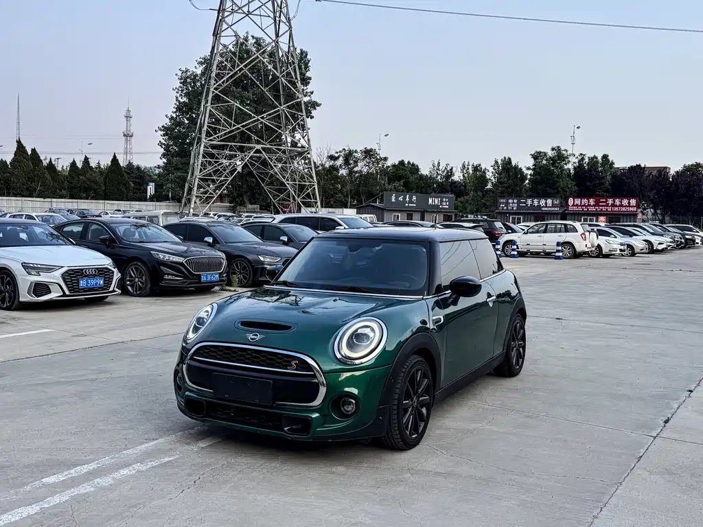 Mini Mini 2020