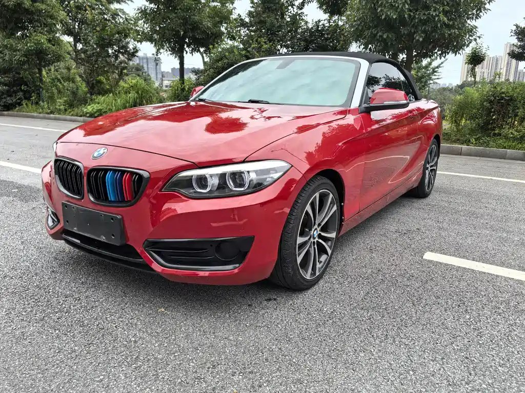 BMW 2 Series (Import) 2021