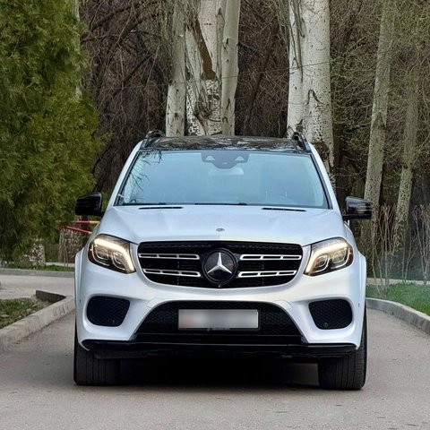 Mercedes-Benz GLS I (X166) 2017