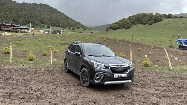 Subaru Forester V 2019