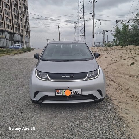 BYD Dolphin 2022