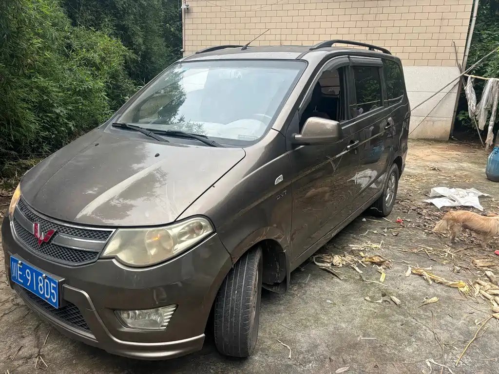 Wuling Hongguang 2015
