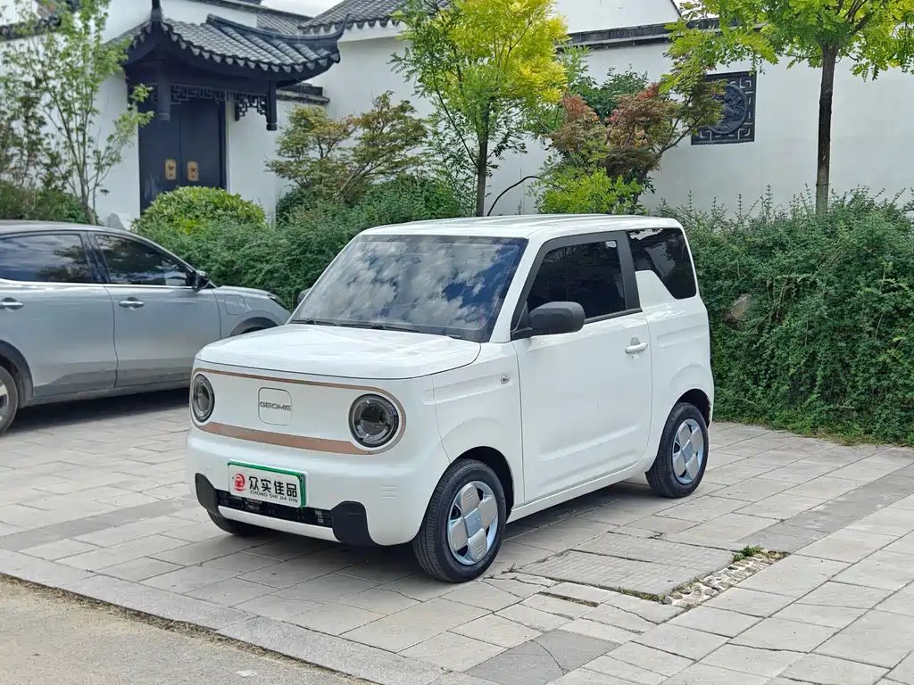 Galaxy Panda 2023