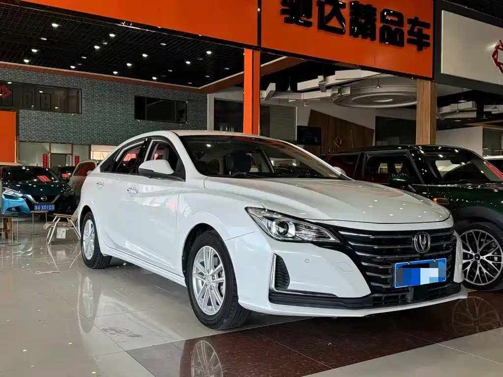 Changan Ruicheng CC 2020