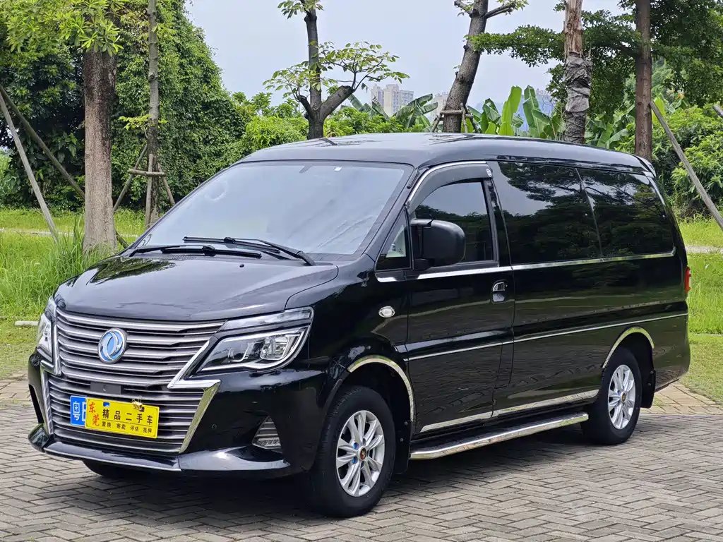 Fengxing Lingzhi 2021