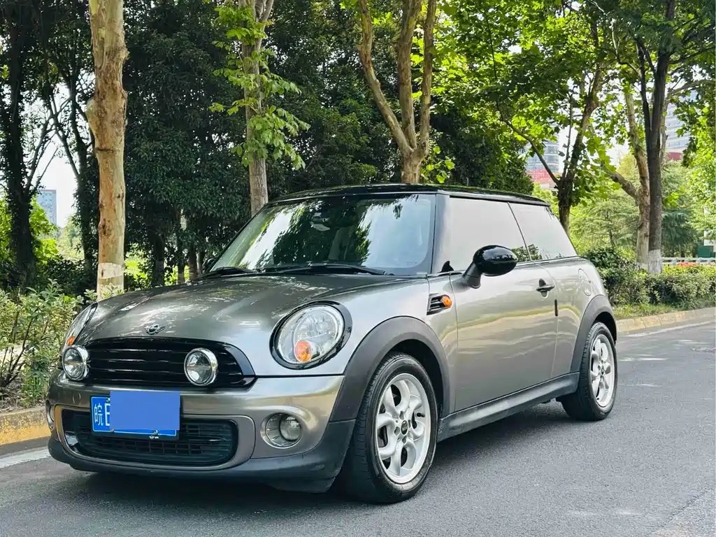 Mini Mini 2013