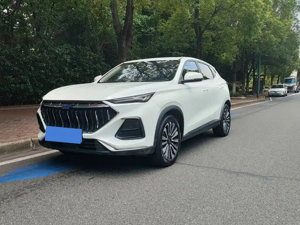 Oshan Oushang X5 2021