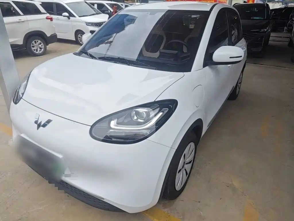 Wuling Bingo 2024