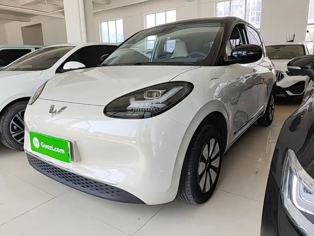 Wuling Bingo 2024