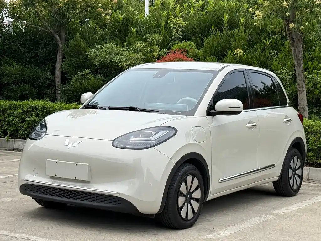 Wuling Bingo 2024