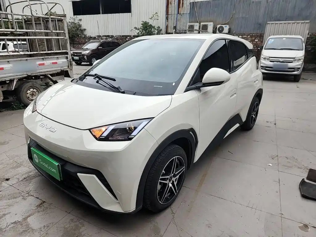 BYD Seagull 2024