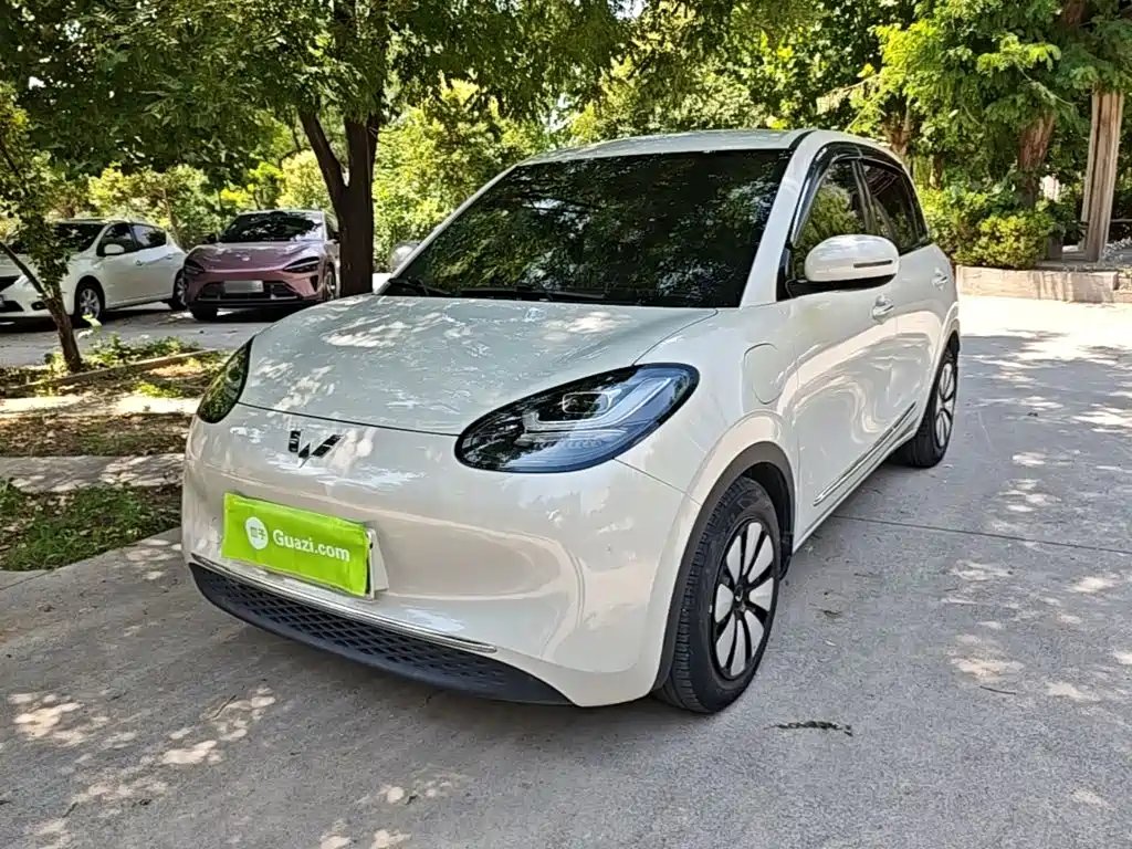 Wuling Bingo 2024