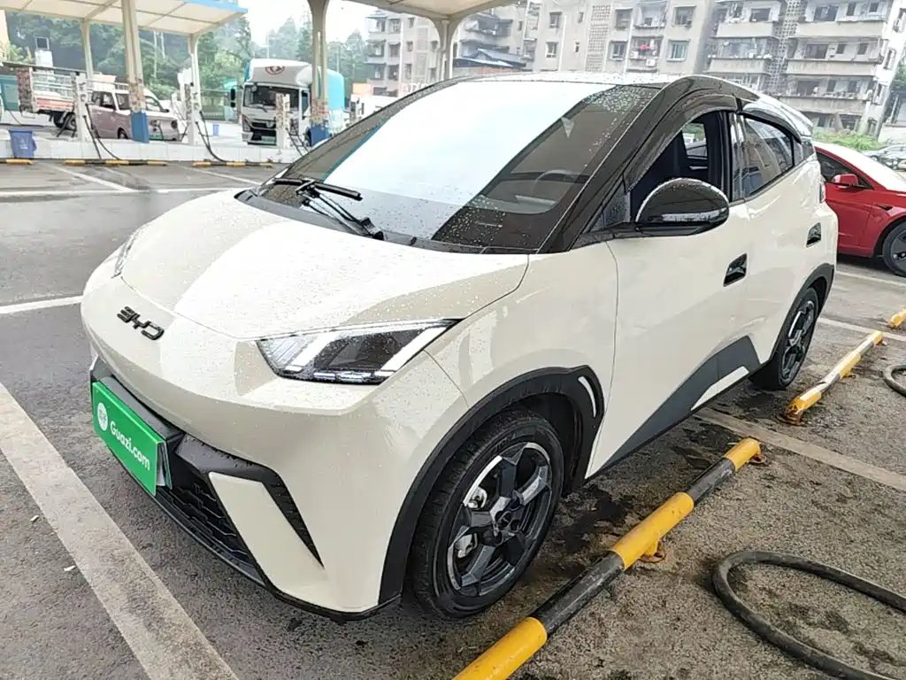 BYD Seagull 2024
