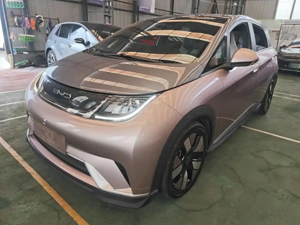 BYD Dolphin 2022