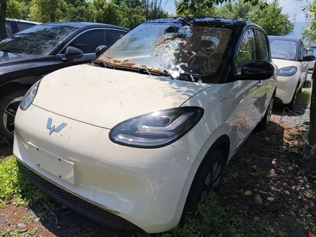 Wuling Bingo 2026