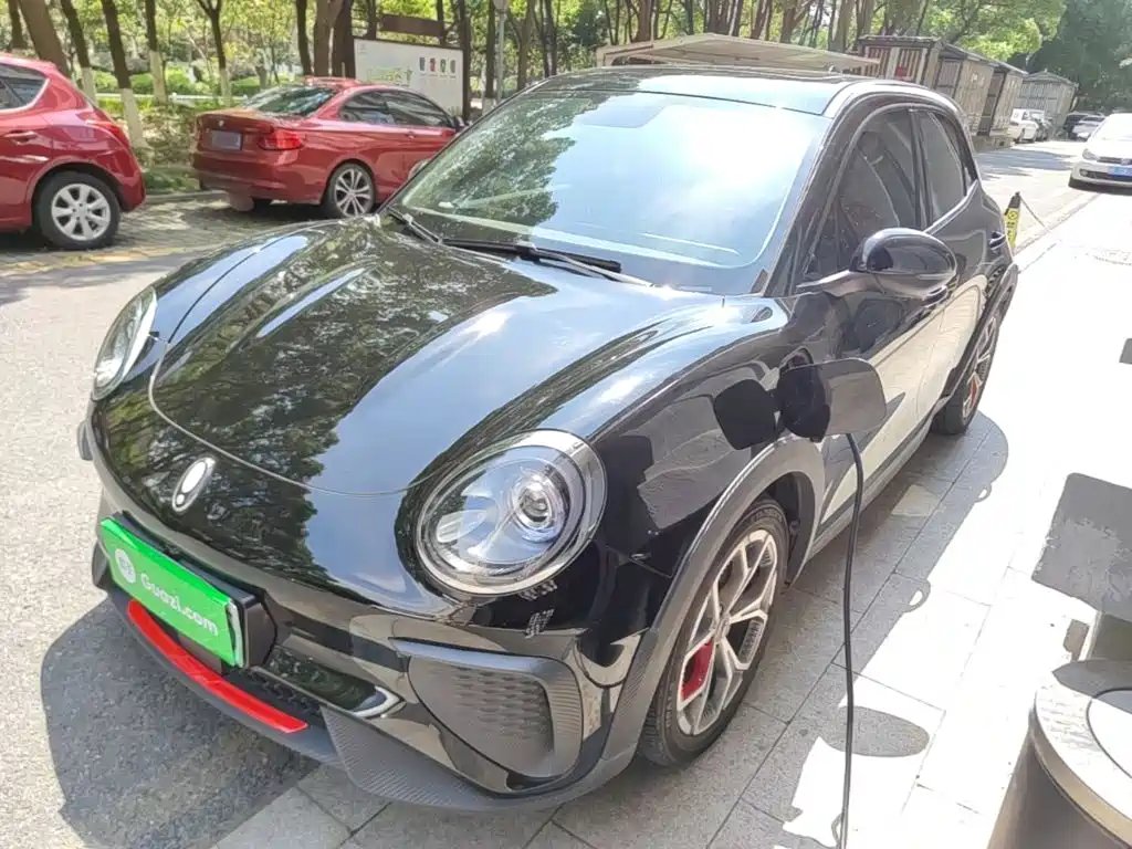 Ora Ora Good Cat GT 2024