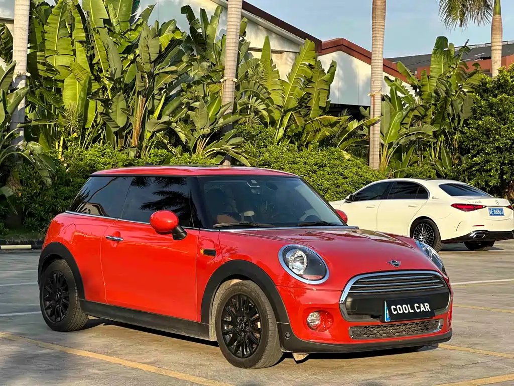 Mini Mini 2019