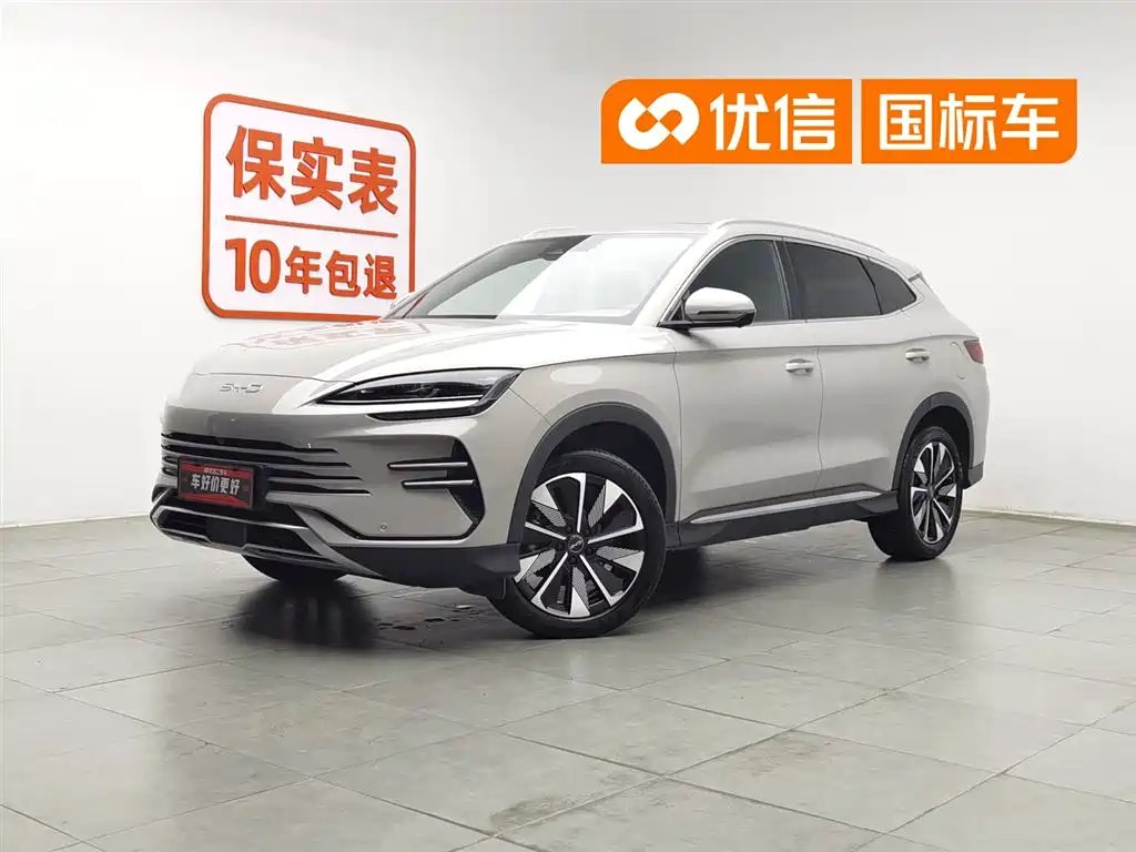 BYD PLUS New Energy 2024