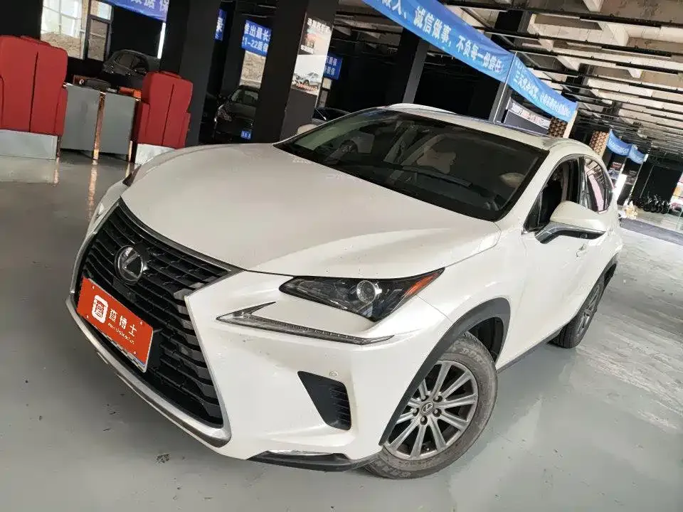 Lexus NX 2020 — фото 1 из 5