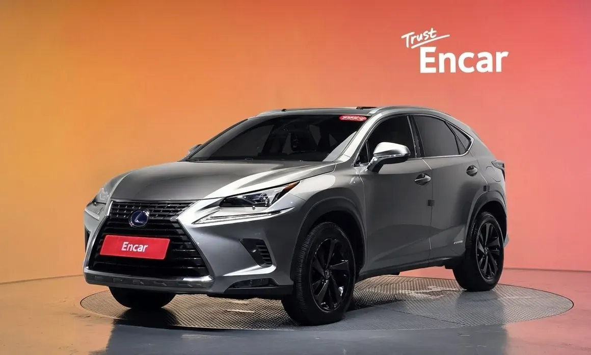 Lexus NX 2018 — фото 1 из 5