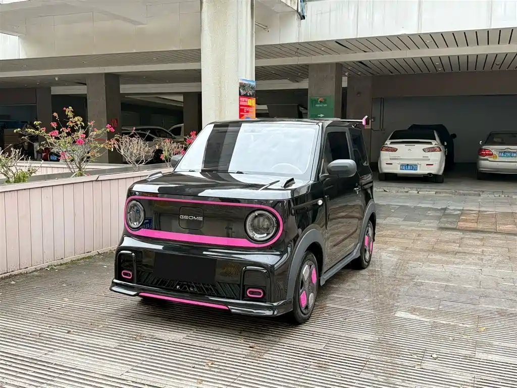 Galaxy Panda 2024