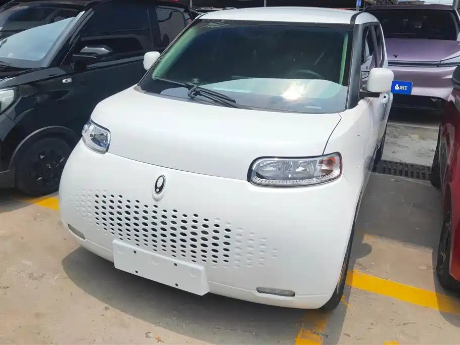Ora Ora White Cat 2022