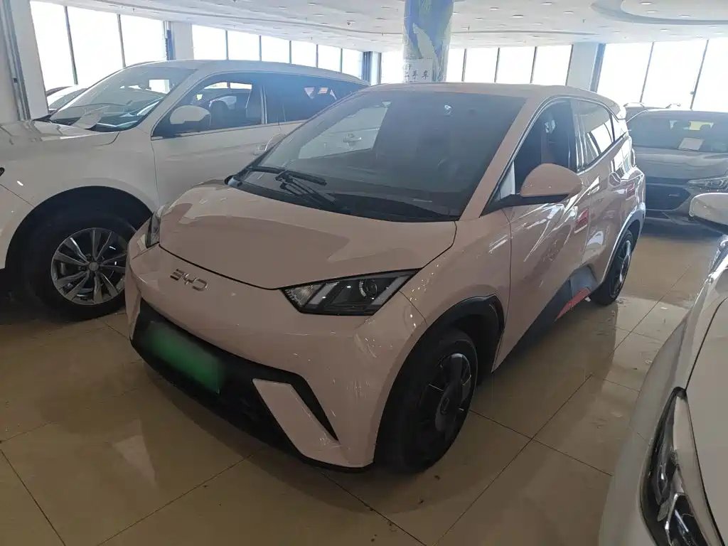 BYD Seagull 2024