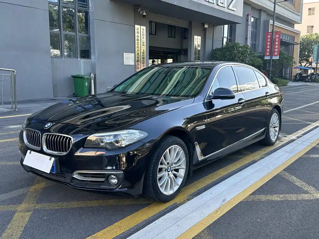 BMW 5 Series 2013