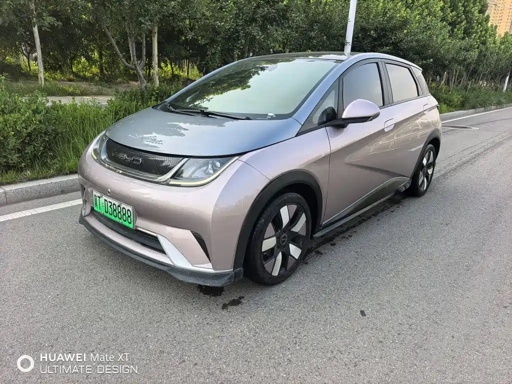 BYD Dolphin 2022