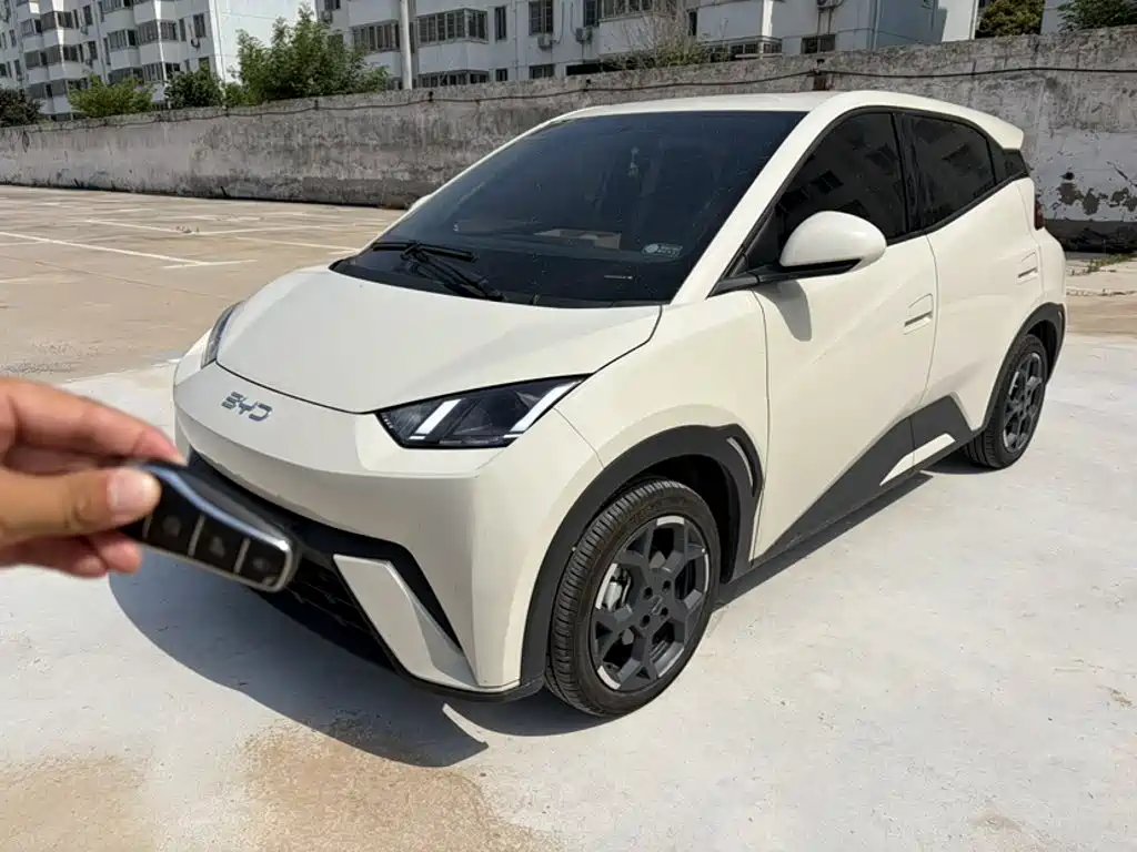 BYD Seagull 2024