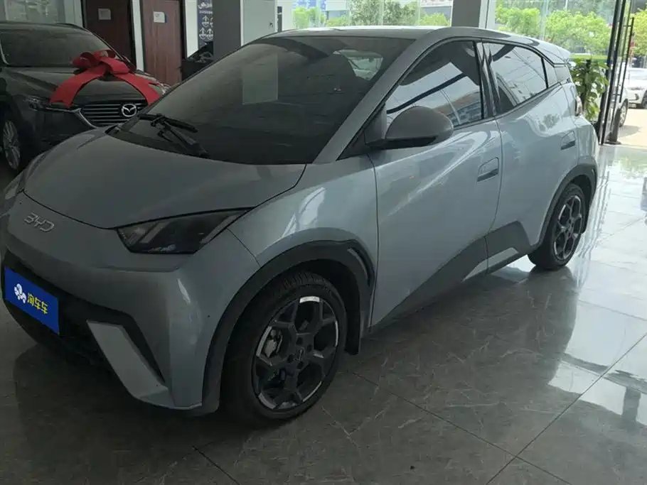 BYD Seagull 2024