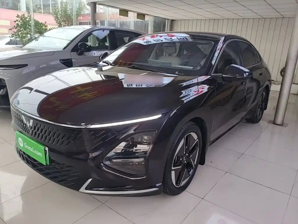 Wuling Xingguang 2024