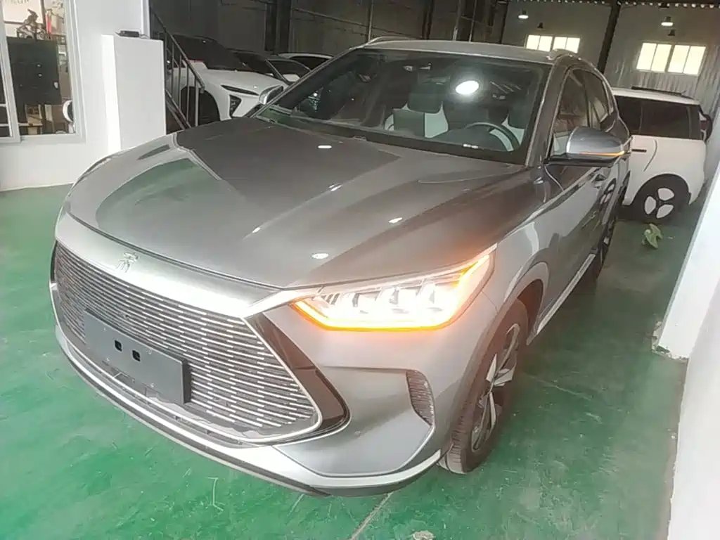 BYD PLUS New Energy 2022
