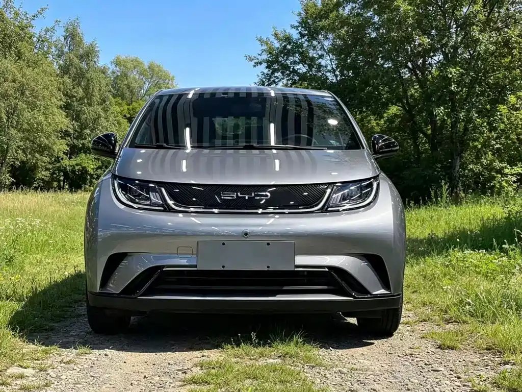 BYD Dolphin 2024