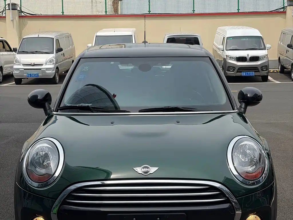 Mini Mini 2017