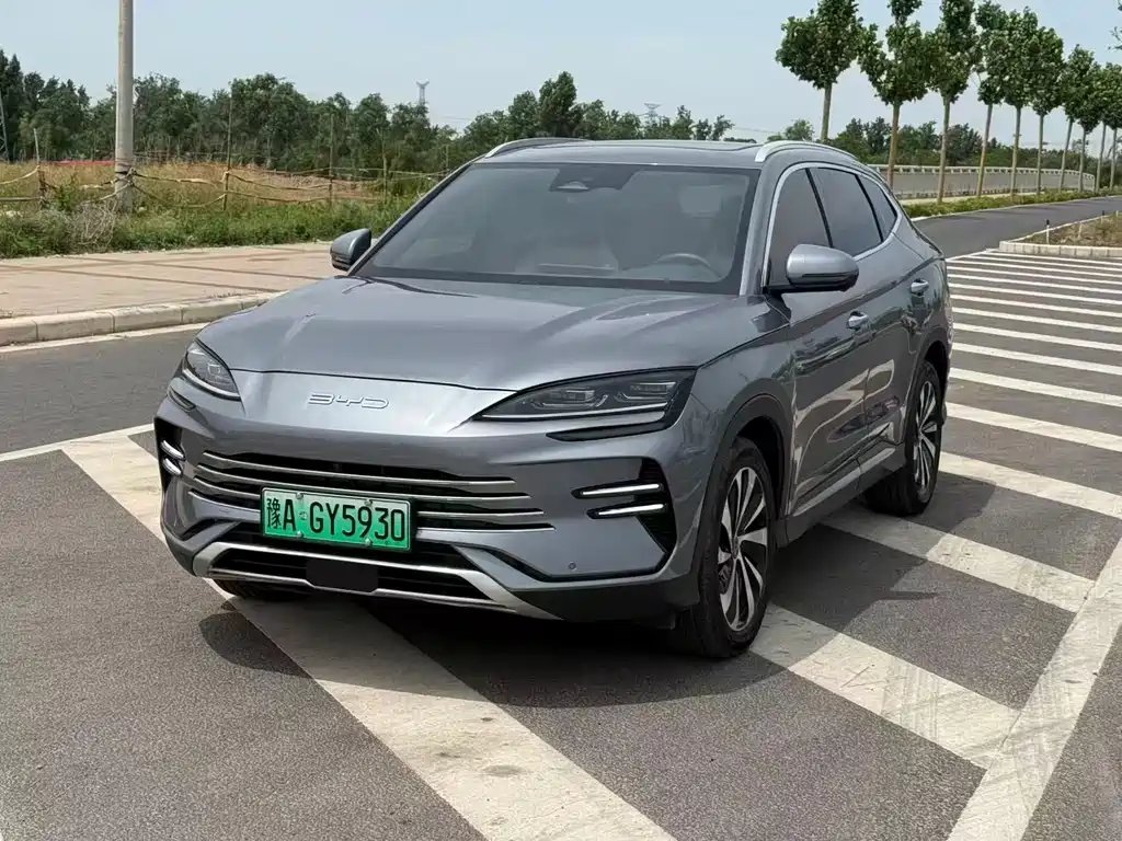 BYD PLUS New Energy 2024