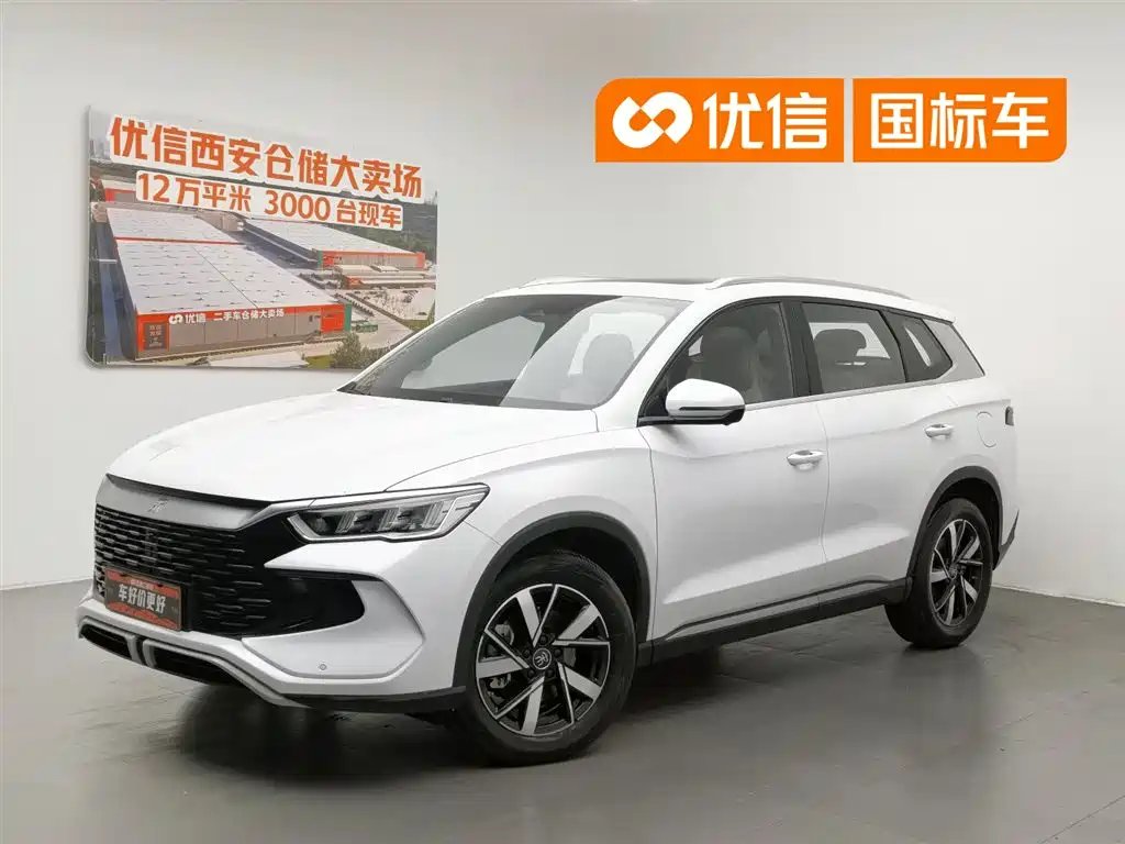 BYD Pro New Energy 2024
