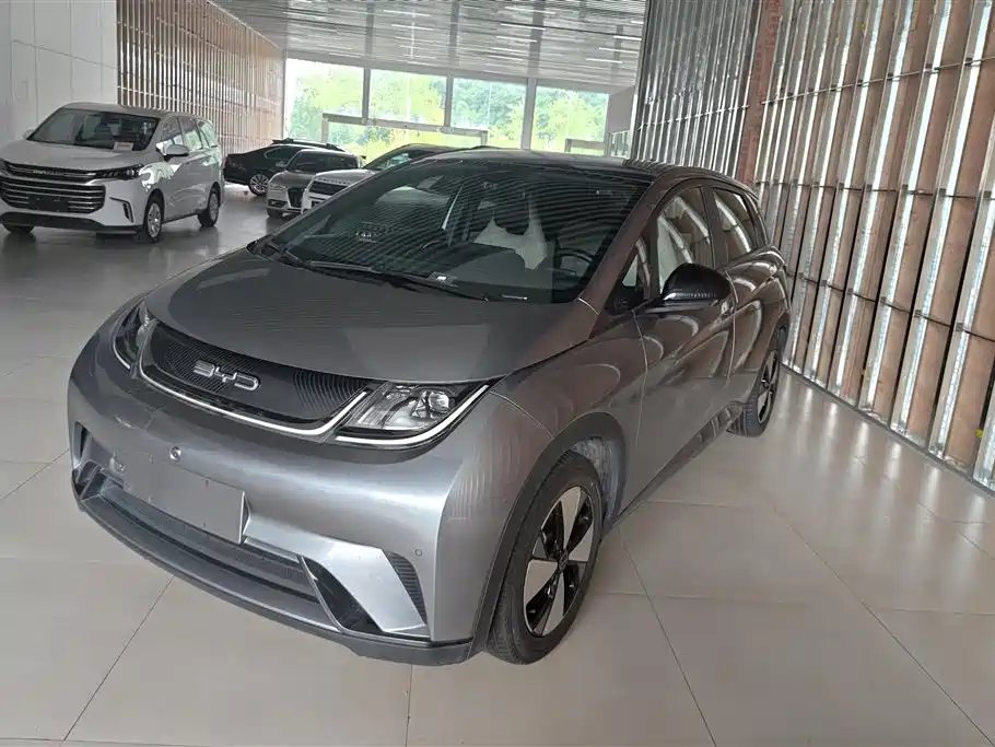 BYD Dolphin 2024